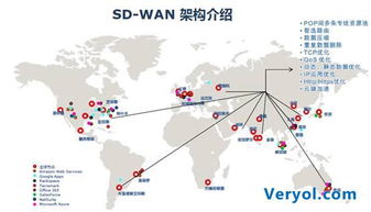 誰來為跨境網絡技術服務買單——凌銳藍信助力在線教育國際化